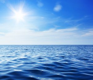 Conheça o carbono azul e sua importância para o processo de descarbonização