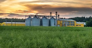 Biocombustíveis ganham força, mas concorrer com combustíveis fósseis é desafio