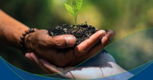 IBP lança caderno com soluções netzero da indústria